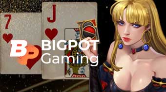 Bigpot Gaming Casino